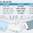 빅딜마켓 이미지