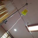 토가 인천점 | [8~11주] 임신 기록(Feat. 미친 입덧)