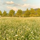 맑은물 사업소 옆 공원 이미지