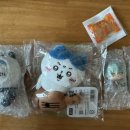 시바사자 이용 후기