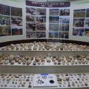 양구선사박물관 이미지