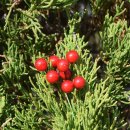 제이에이치컴퍼니 이미지