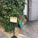 식신생선구이진산점 | 공주 맛집- 곰골 식당, 아이와 가기 좋은 제육과 생선 구이 맛집 (웨이팅, 주차, 공주페이 팁)