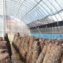 참빛농장 이미지