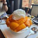 망고호텔 이미지