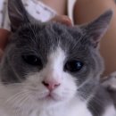 하얀기린 동물병원 이미지