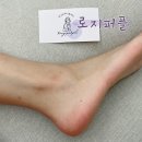 로지퍼플