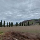 신포주유소 이미지