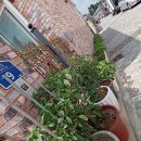 인화동-14 이미지