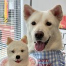 프프프 스토어 이미지