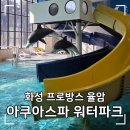아쿠아 파크 | 경기 아이랑 겨울 수영장 화성 프로방스 율암 아쿠아스파 워터파크 주말 이용 후기