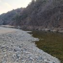 강변펜션 | 청도강변돌고래펜션 1번방 숙박 후기｜강변 바로 옆 힐링 공간