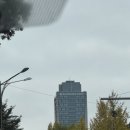 남산웰빙 | 반얀트리 서울 호캉스/디럭스 풀 남산뷰/그라넘다이닝 조식