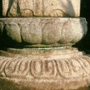 순천-81호 이미지