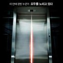 엘리스 성인용품 이미지