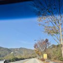 부여백제(서천) | 끝을 잡아보려해 가을 서천 여행 1 | 서천 당일치기, 부여백제휴게소 고양이, 서천 맛집 대영식당 뽈찜...