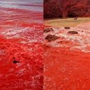 사하라 - 군산시 평화길 132 | 사하라