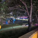 태화중학교 | 🌙 여천천 저녁 러닝 후기 (5.3km) – 런닝 초보의 시작 코스