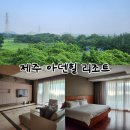 아덴힐리조트 | 제주여행 아덴힐 리조트 스위트 안티노리 숙박후기