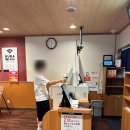 올게이츠2 | 후쿠오카 나카스 쿠라스시 가격 메뉴 후기 + 바로 옆 마사지샵 꿀팁