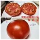 아미쉬 페이스트 토마토 이미지