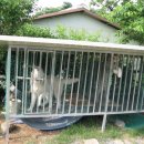 설매농장 이미지