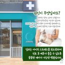 신동동물병원 이미지