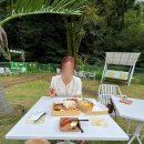 안다랜드 이미지