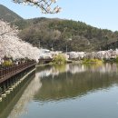 영산 연지못 이미지