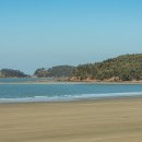 사구해수욕장1 이미지