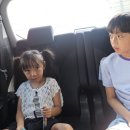 레드우드어학원(승합차2) | 말레이시아 몽키아라 한 달 살기]몽키아라 국립과학관(Pusat Sains Negara) 방문 후기