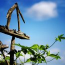 오후행정사 이미지