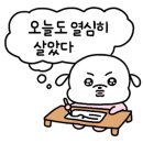 테라머뭄 이미지