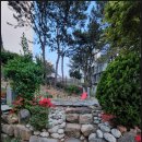 이상한 나라의 밀가루 공장 이미지