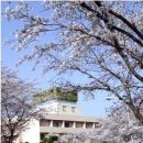 국수정(송악) 네이버블로그