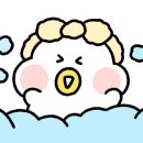 포항펜션프레젠트