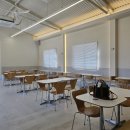 편안한 댕 이미지