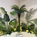 가든뽑기방 이미지