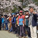 우면산5-9 이미지