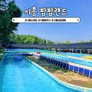 팜팜비 | 시흥 당일 캠크닉 팜팜랜드 취사 가능 야외수영장 물놀이장
