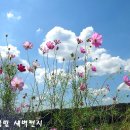 수우미양가