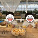 포시즌농장 이미지