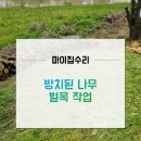 고사목 제거 나무폐기물 처리 업체