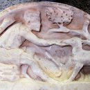 먹이창고 이미지