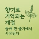 건강의향기 | 2025 들깨, 밭에서 피어나는 건강의 향기