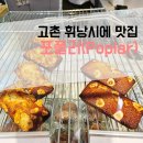 포플러(poplar) 이미지