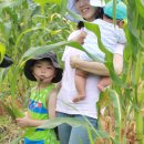 기차길옆오막살이 이미지