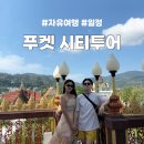 Pink Pong Pong | [태국/푸켓]단독시티투어 자유여행일정 :: 공항샌딩, 칠바야시장, 올드타운 카페추천