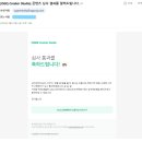 블링블링펫 | 도전기 7편] 바움의 웨딩 스티커 승인!🎉 &amp; 운동·게임·맛집·뷰티·펫·공정위 문구까지 폭풍 제작기🏃‍♀️🎮🍽️