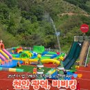 물놀이장 이동식 화장실 | [천안바베큐장]비비킹 천안:물놀이장 상세 후기:자리 꿀팁